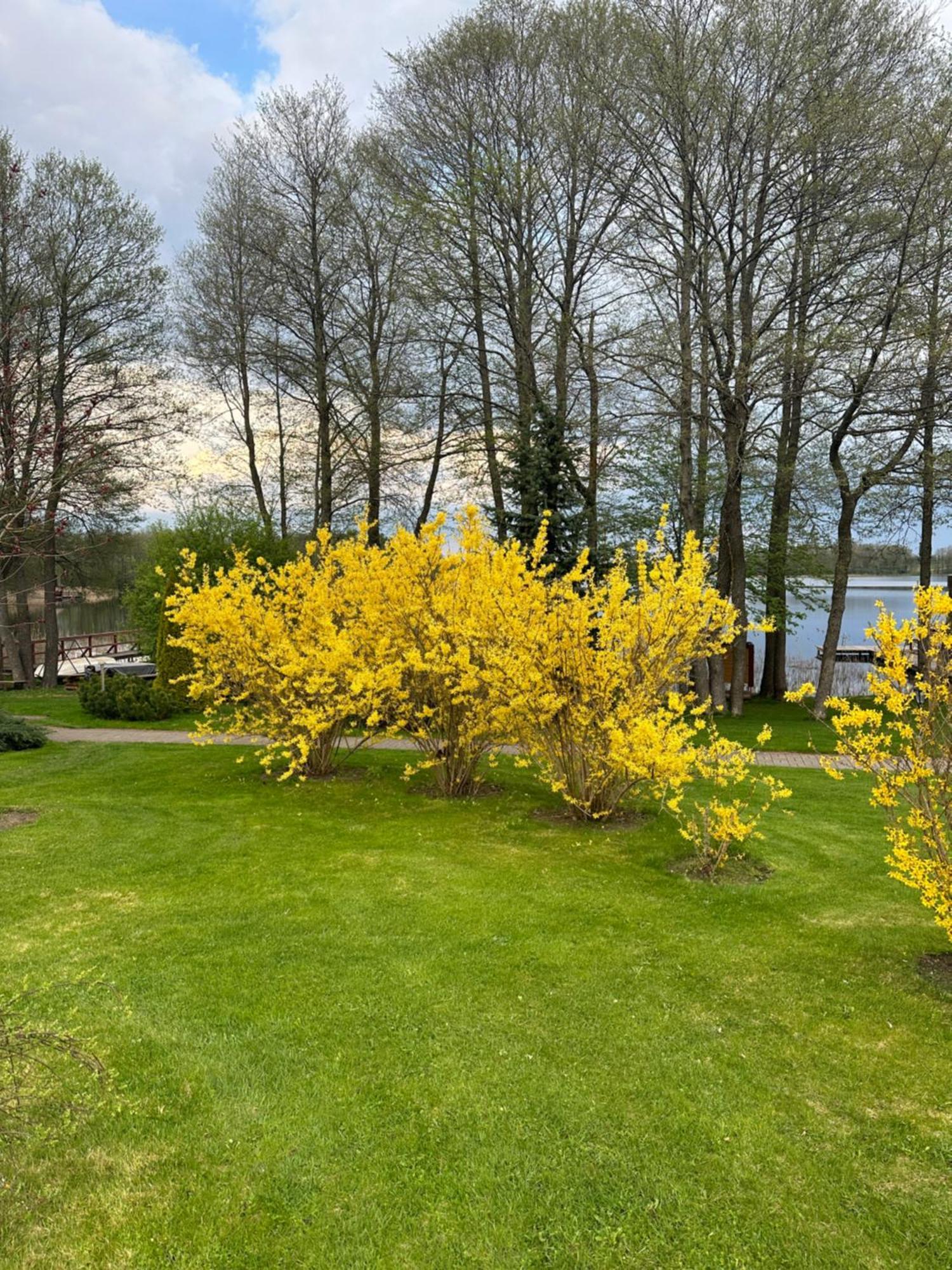 Vila Viesai Trakai Exterior foto